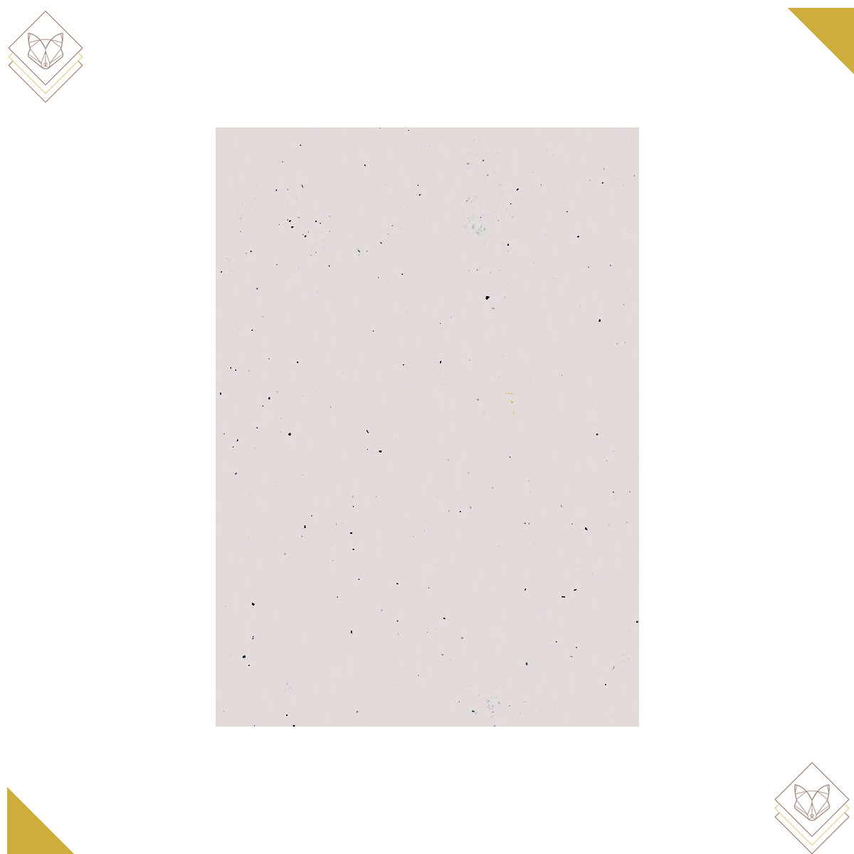 120gm - Greenline Bogen A4 birch - Artoz - 684796-211