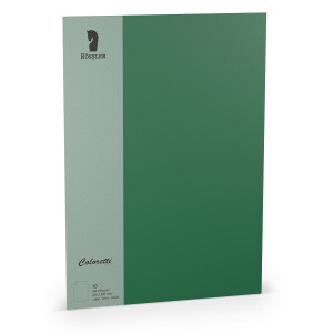 Coloretti-10er Pack Blätter DIN A4 80g/m², Forest