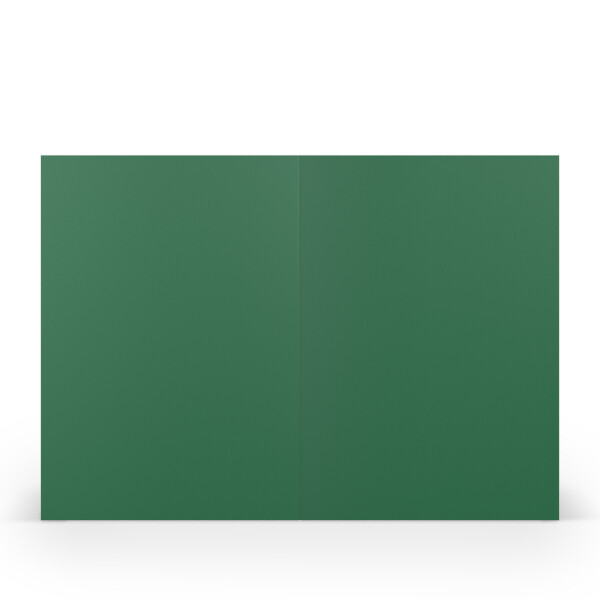 Coloretti-5er Pack Karten B6 hd-pl 225g/m², Forest