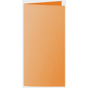 1001 Karten A6/5 orange