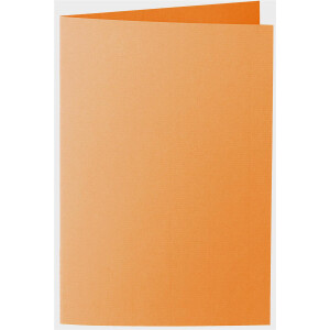 1001 Karten B6 orange