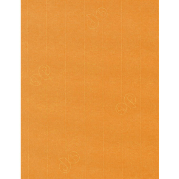 1001 Bogen einfach orange