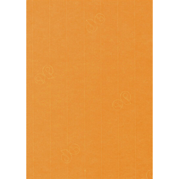 1001 Bogen A4 orange